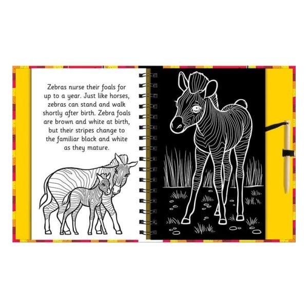 Scratch And Draw - Animals