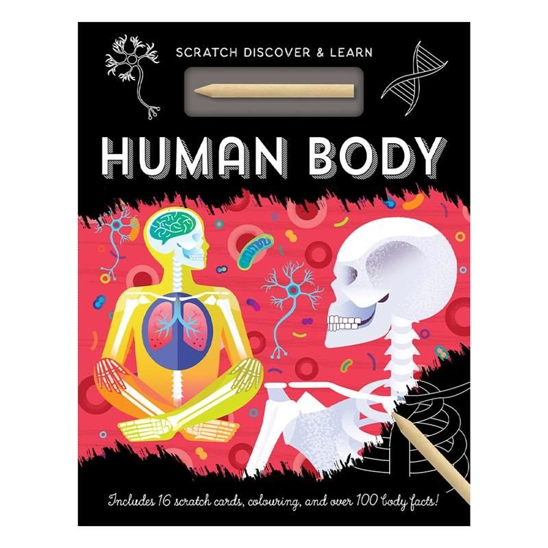 Human Body - Scratch, Discover And Learn