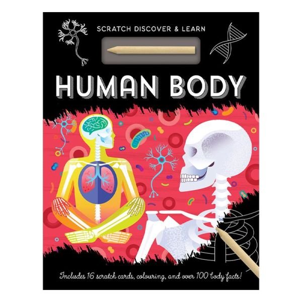 Human Body - Scratch, Discover And Learn