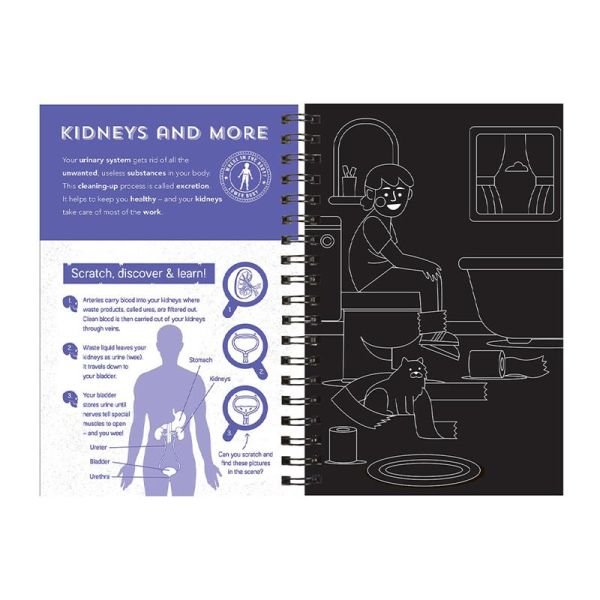 Human Body - Scratch, Discover And Learn