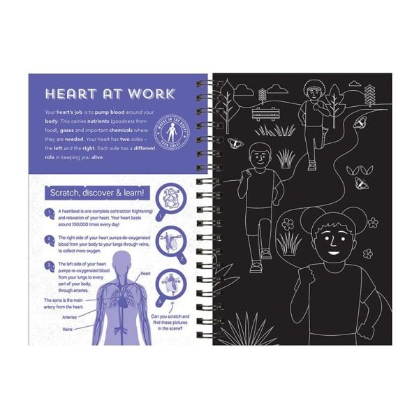 Human Body - Scratch, Discover And Learn