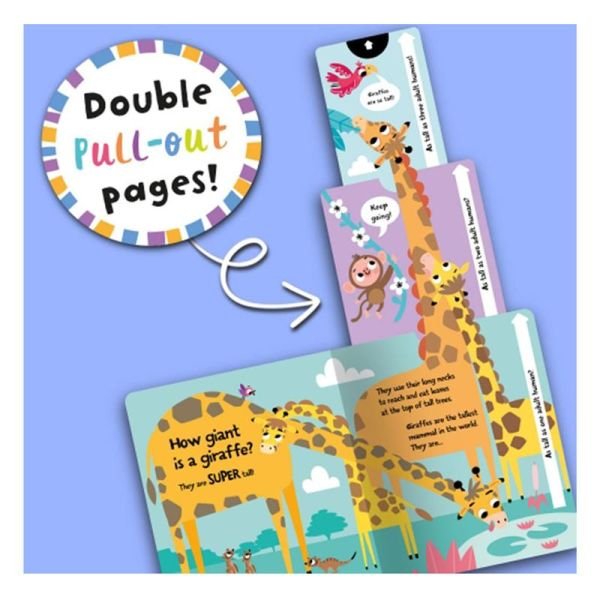 How Big Is A Bear - Board Book