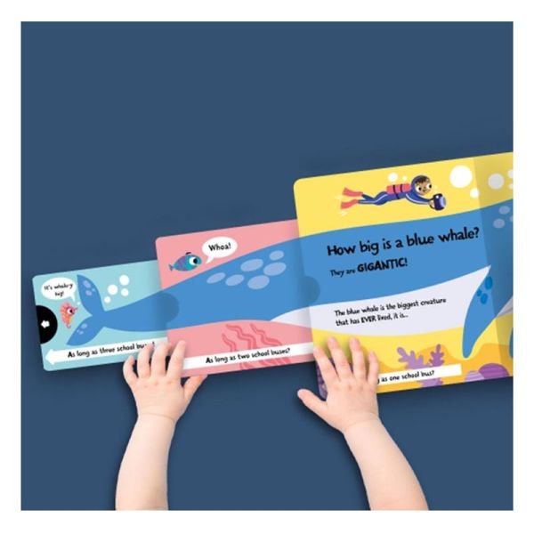 How Big Is A Bear - Board Book