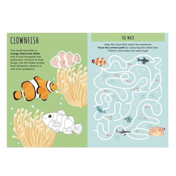 The Sea - Sticker And Activities