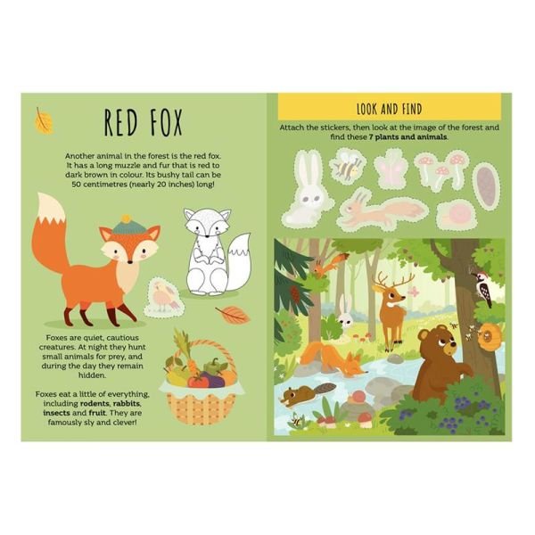 The Forest - Sticker And Activities