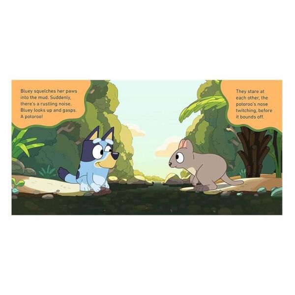 Bluey - The Creek - Board Book