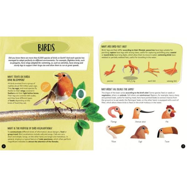 Animals - The Ultimate Atlas - New Edition