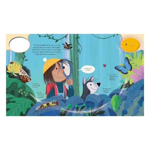 Magic Torch - Explore the Rainforest