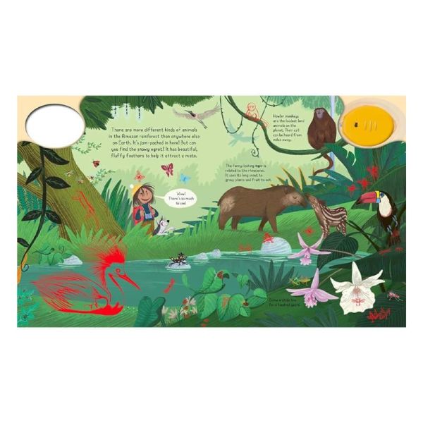 Magic Torch - Explore the Rainforest