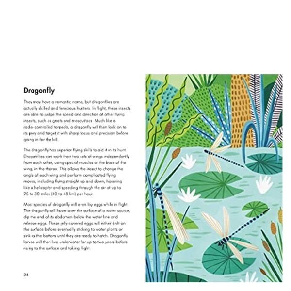 Insects And Minibeasts - A Ladybird Book