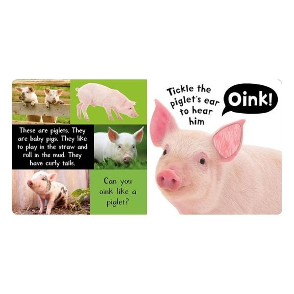 Noisy Farm - My First Touch And Feel Sound Book