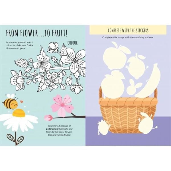 Summer - Sticker and Activities
