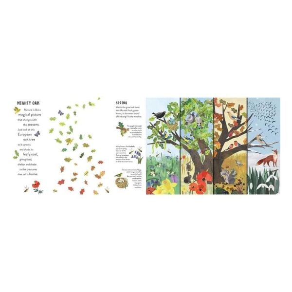Seasons