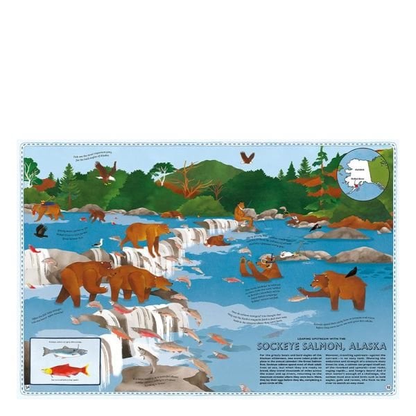 Atlas Of Animal Adventures