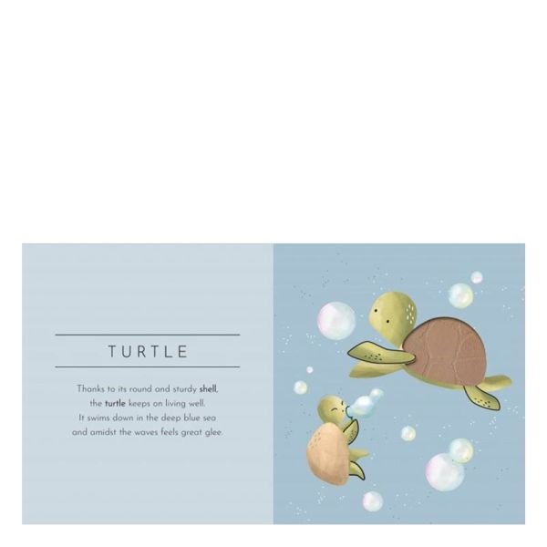 Touch And Feel - Animals