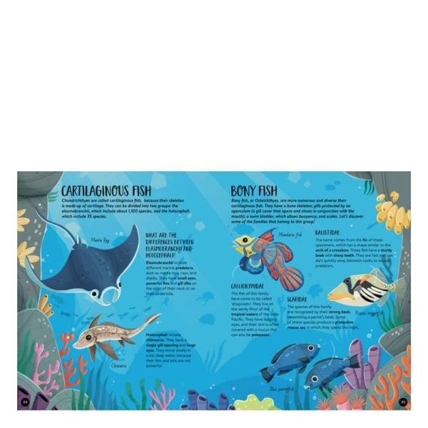 Animals - The Ultimate Atlas