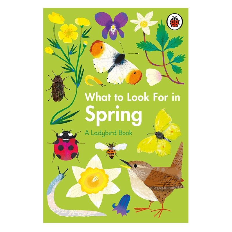 What To Look For In Spring