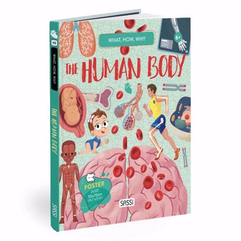 What- How- Why - Human Body