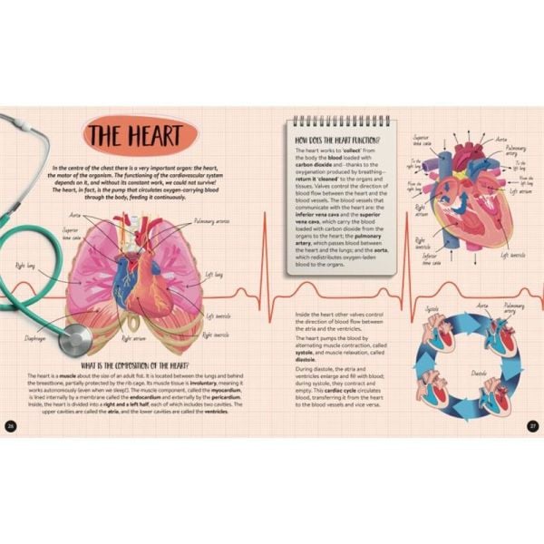 What- How- Why - Human Body