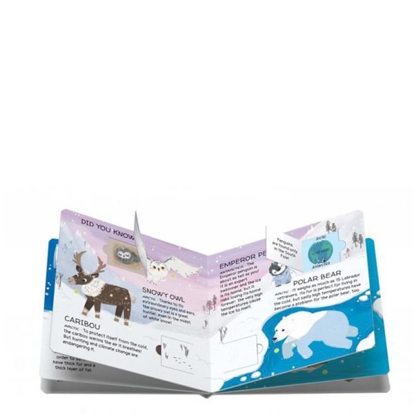 Animals To Save - Polar Ice