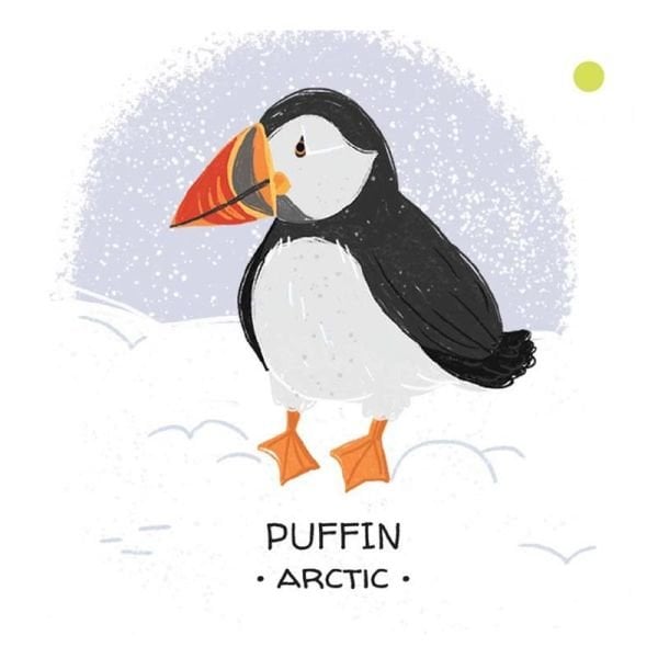Animals To Save - Polar Ice