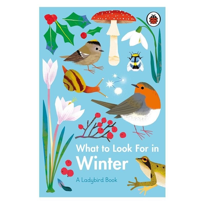 What To Look For In Winter