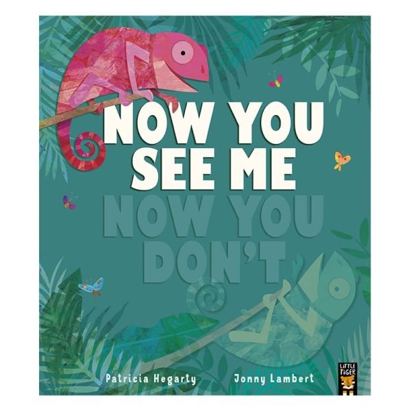 Now You See Me Now You Dont See Me