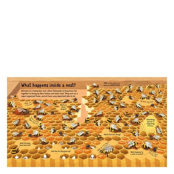 Look Inside The World Of Bees